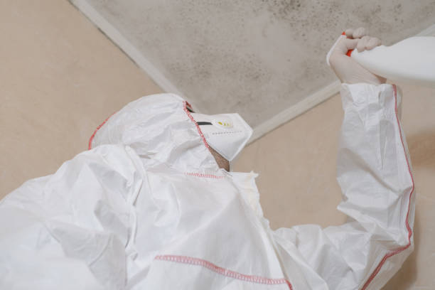 Best Bathroom Mold Remediation in Canonsburg, PA
